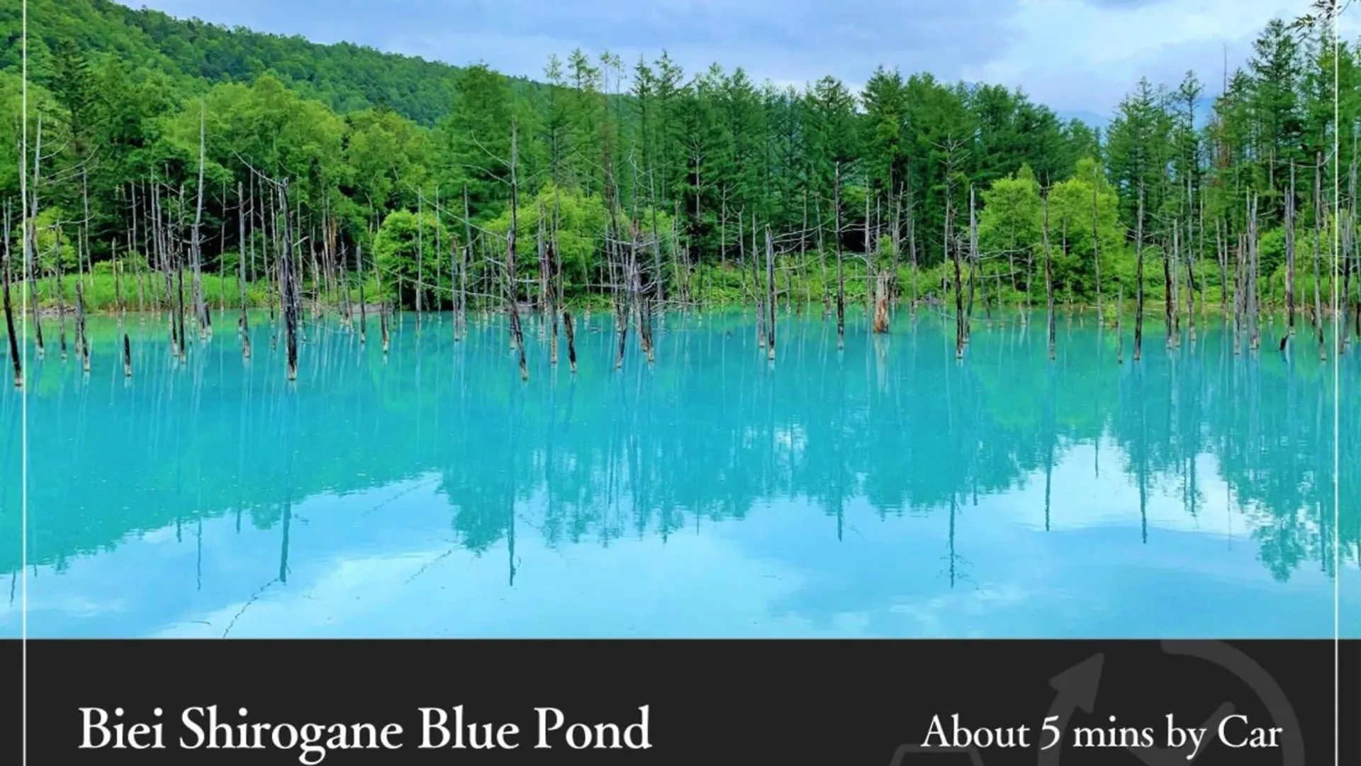 ****  Biei Shirogane Onsen Hotel Park Hills Japonya